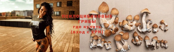 соль курить ск Белокуриха