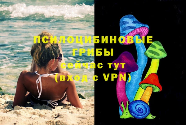 соль курить ск Белокуриха