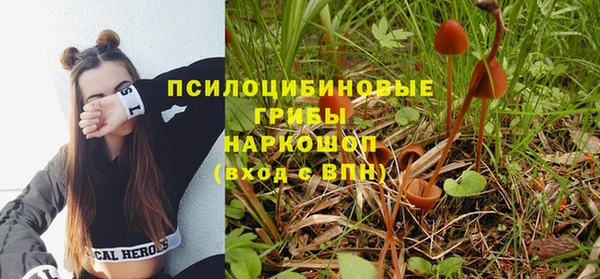 соль курить ск Белокуриха