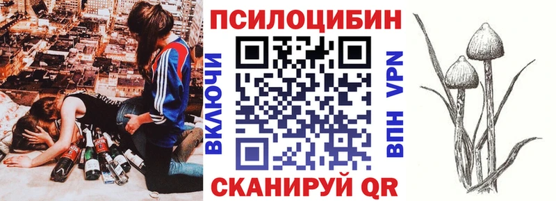 Псилоцибиновые грибы мухоморы  где купить наркоту  Кувандык 